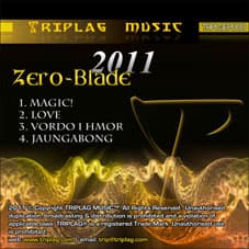 2011 — cover artwork
