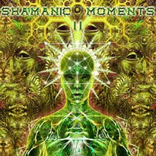 Shamanic Moments Vol.2 — compilation cover artwork